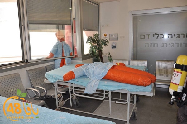 tamren asaf harof3e (11).jpg